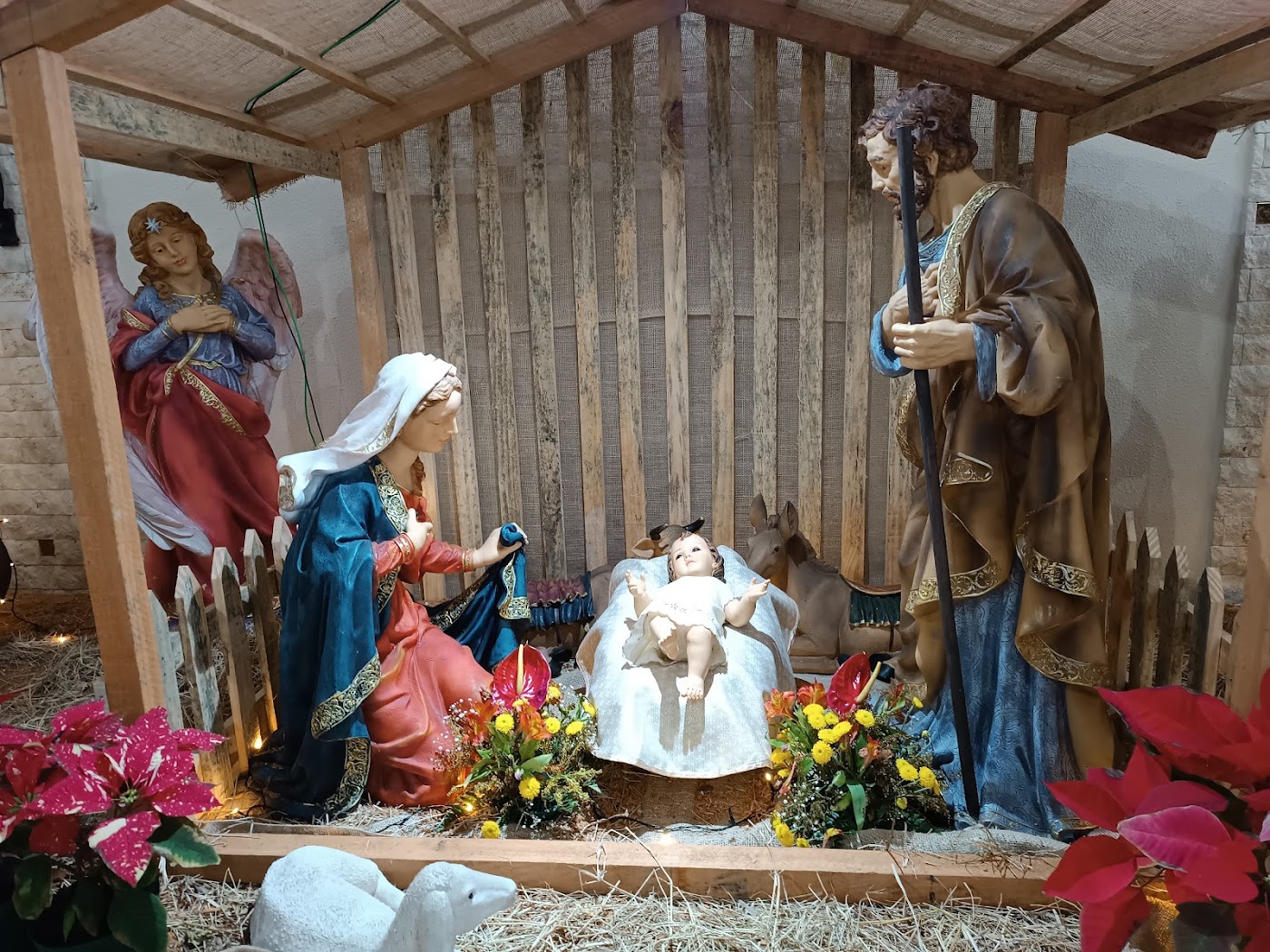 Santuário do Pai das Misericórdias (Canção Nova) 8